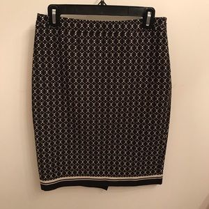 Professional skirt from the limited